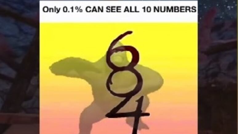 42535.jpg