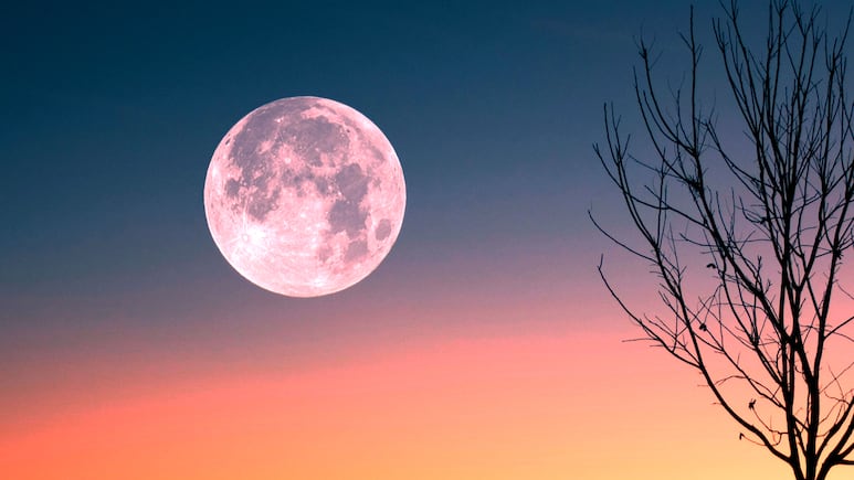 Luna de Fresa.