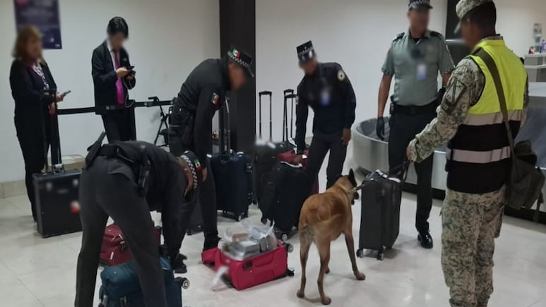 The Mexican Government’s Security Cabinet reports on the results of “Operation Northern Border” on June 27, 28, and 29, 2025