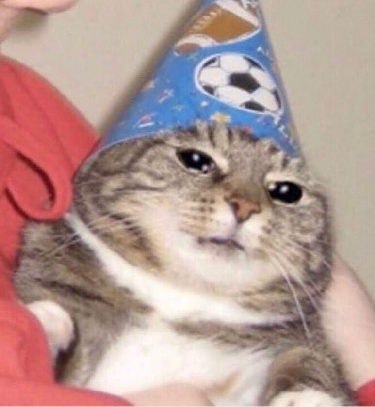 20526.jpg