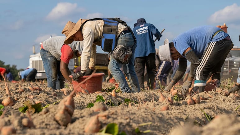 Agricultores de Estados Unidos.