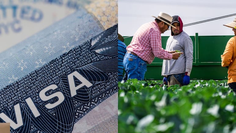 ¿Cómo tramitar la visa de trabajo H-2A y H-2B en Estados Unidos?