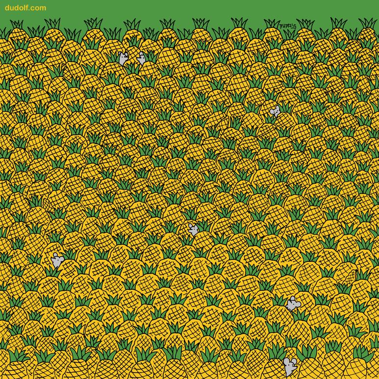 37988.png