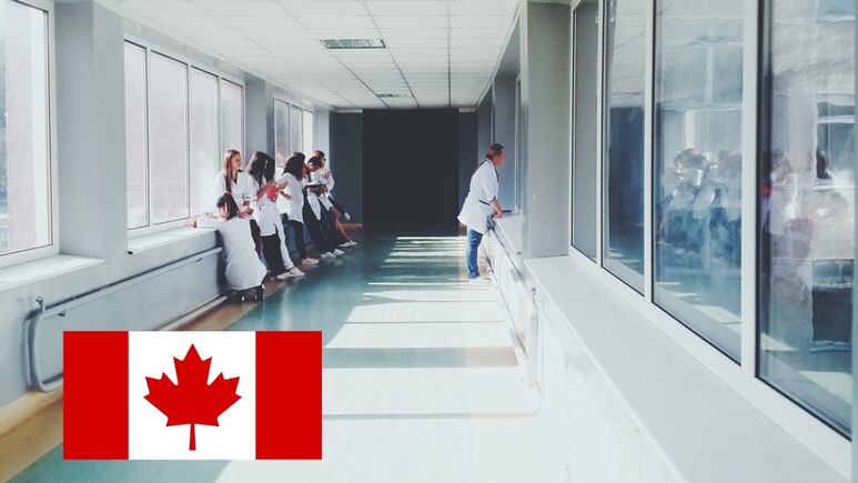 Canadá anuncia reducción de nuevos migrantes; ¿qué trabajadores tendrán prioridad a partir de 2025?
