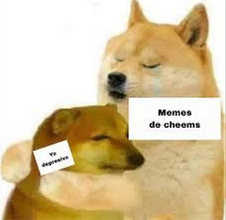 67163.jpg
