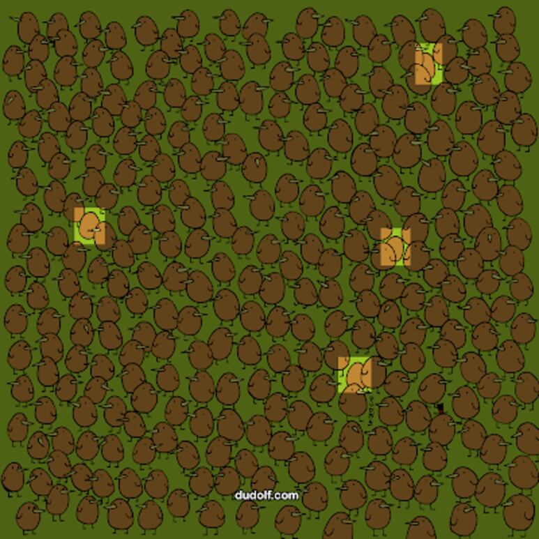 44143.png