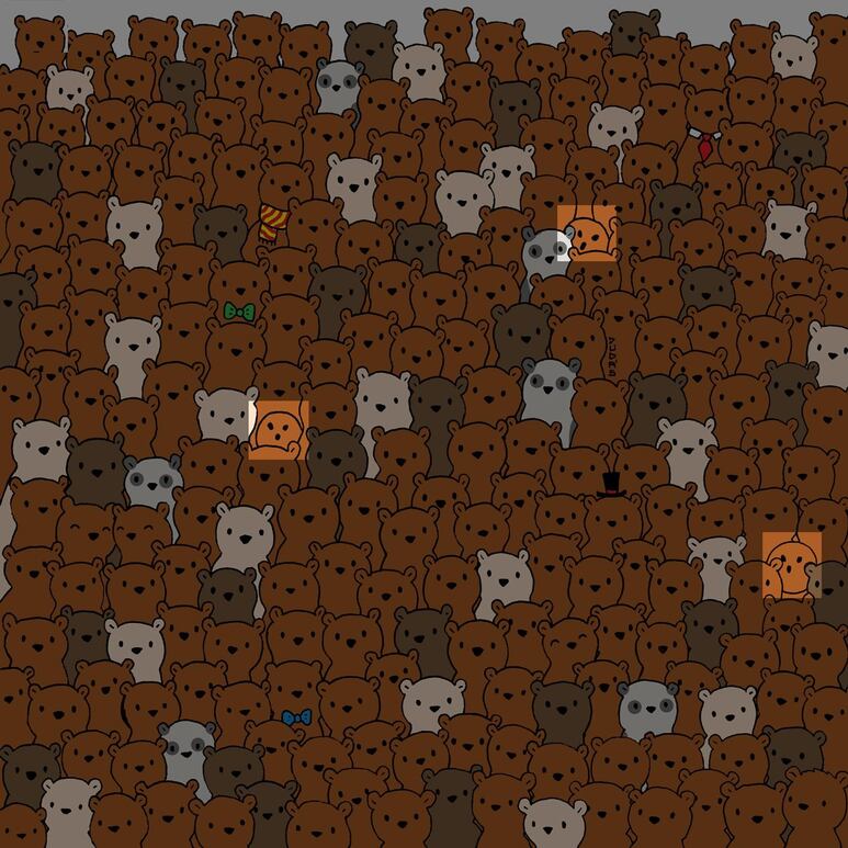 43467.jpg