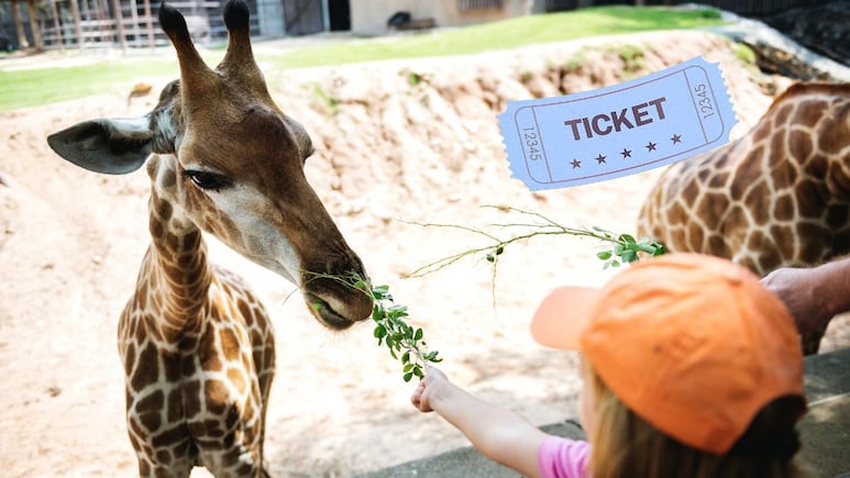 Zoológico de Miami, Acuario Cox, y otras atracciones darán acceso ILIMITADO durante el verano 2025 a un precio especial