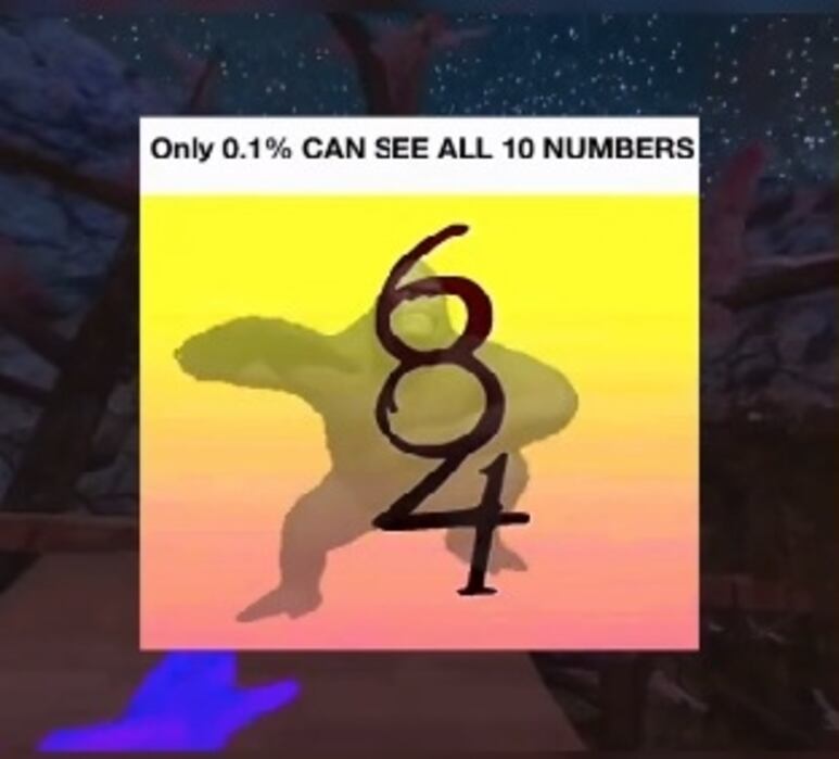42534.jpg