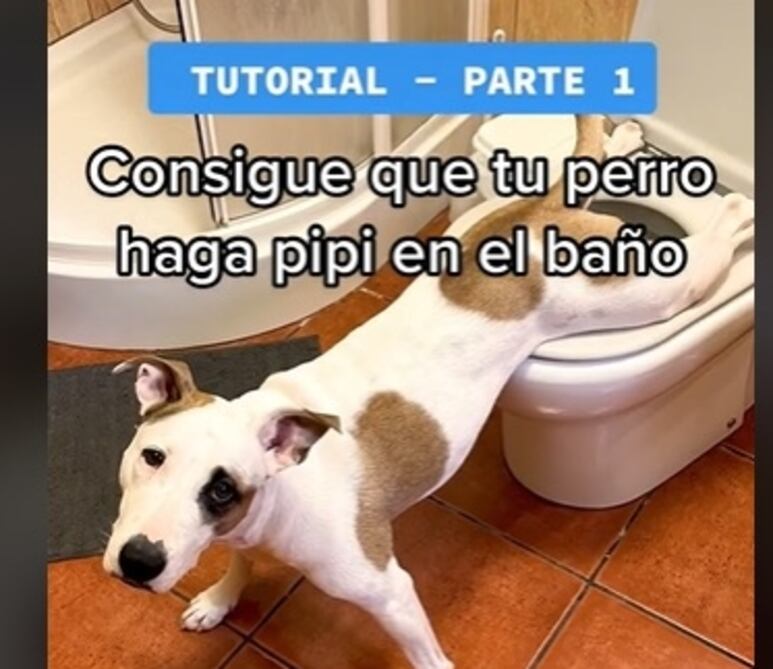 48378.jpg