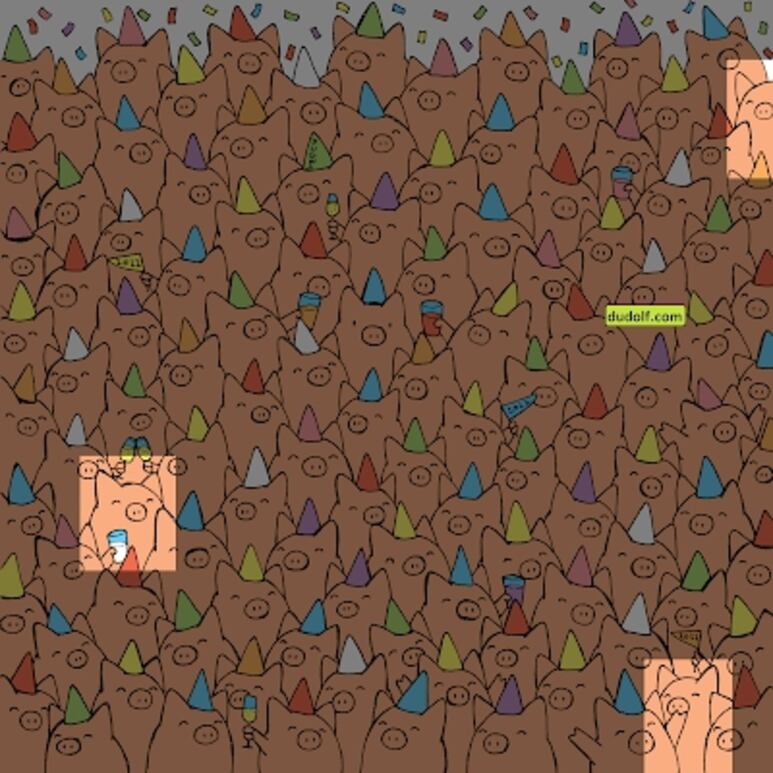 23808.png