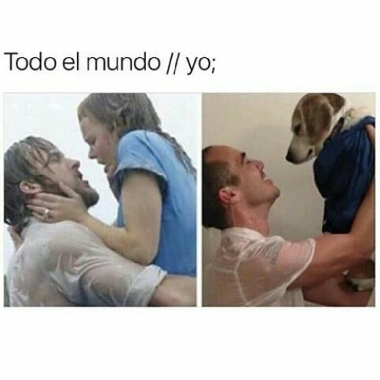 59658.jpg