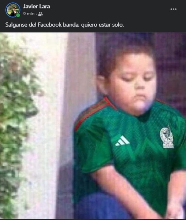 53566.jpg