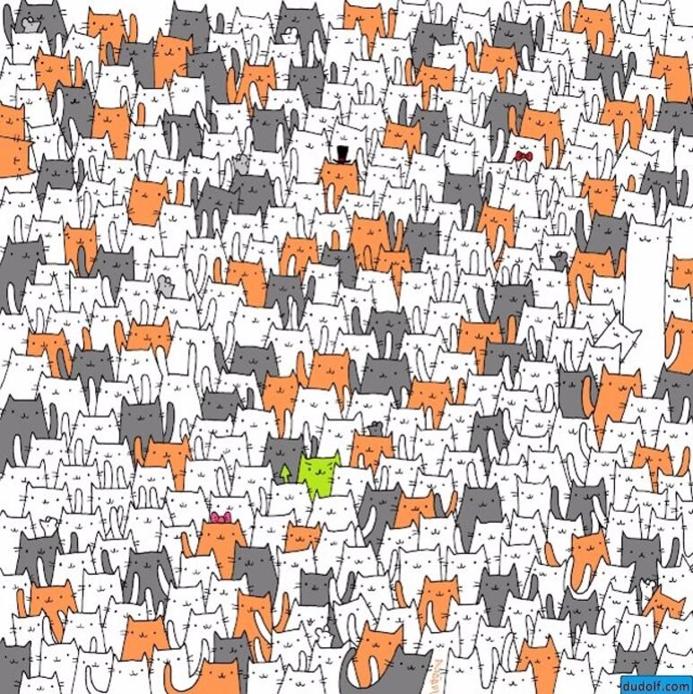 33547.jpg
