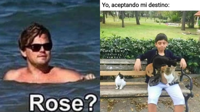 59670.jpg