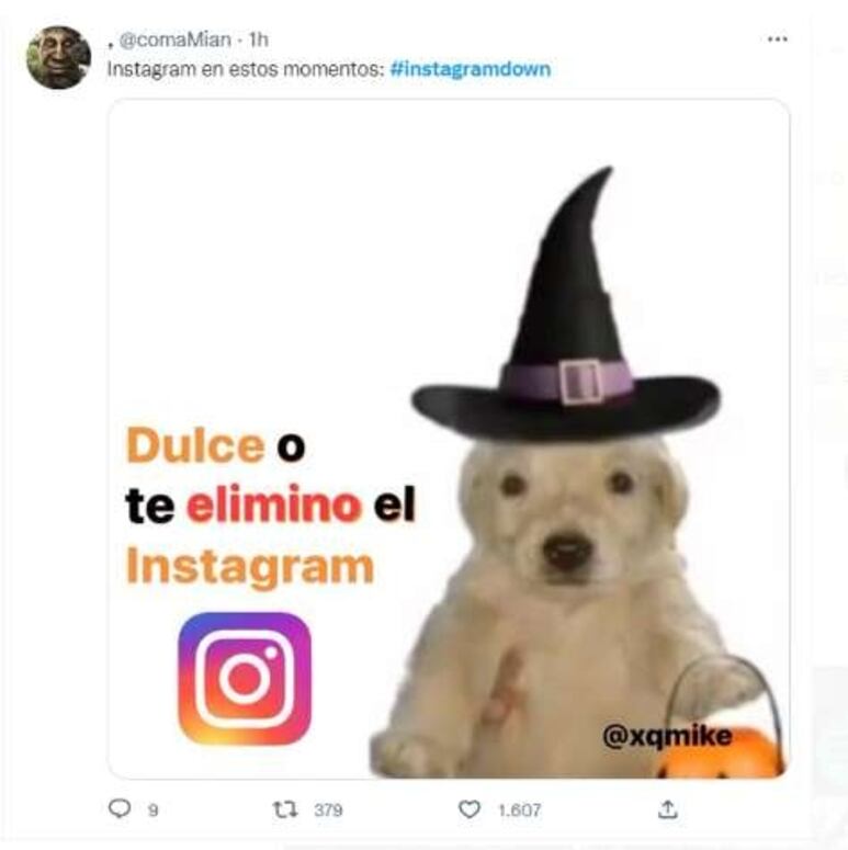 51326.jpg