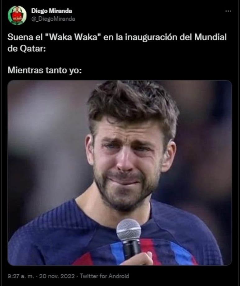 52795.jpg